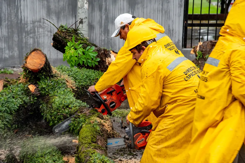 Troceado y retiro de árboles y ramas tras el temporal en San Miguel de Tucumán