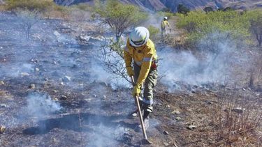 Incendio en Volcán: se quemaron casi 30 hectáreas pero no hubo daños en viviendas