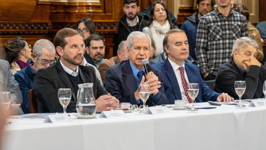 El sector tabacalero de Jujuy llevó al Senado sus reclamos por costos e impuestos