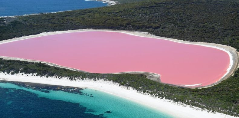 Impactantes imágenes de lagunas rosas en el mundo&nbsp;