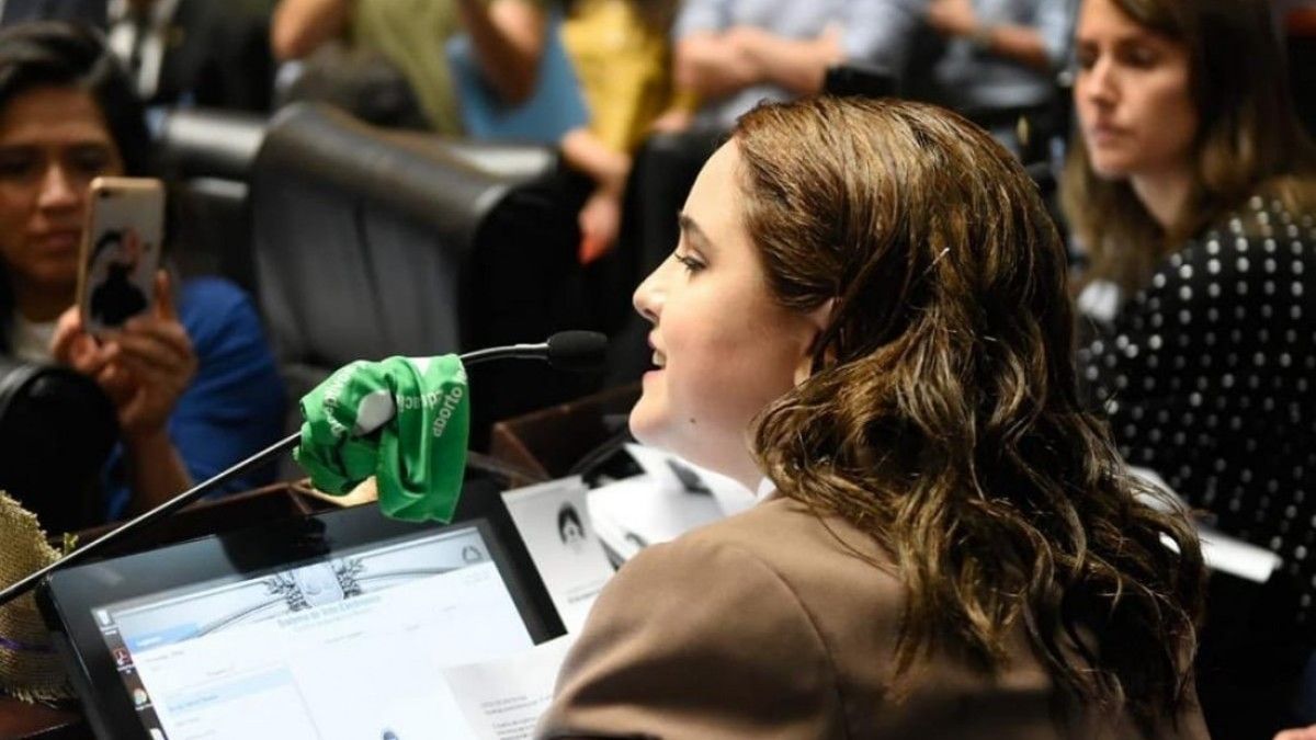 Legislador de Milei le pidió disculpas a Ofelia Fernández.&nbsp;