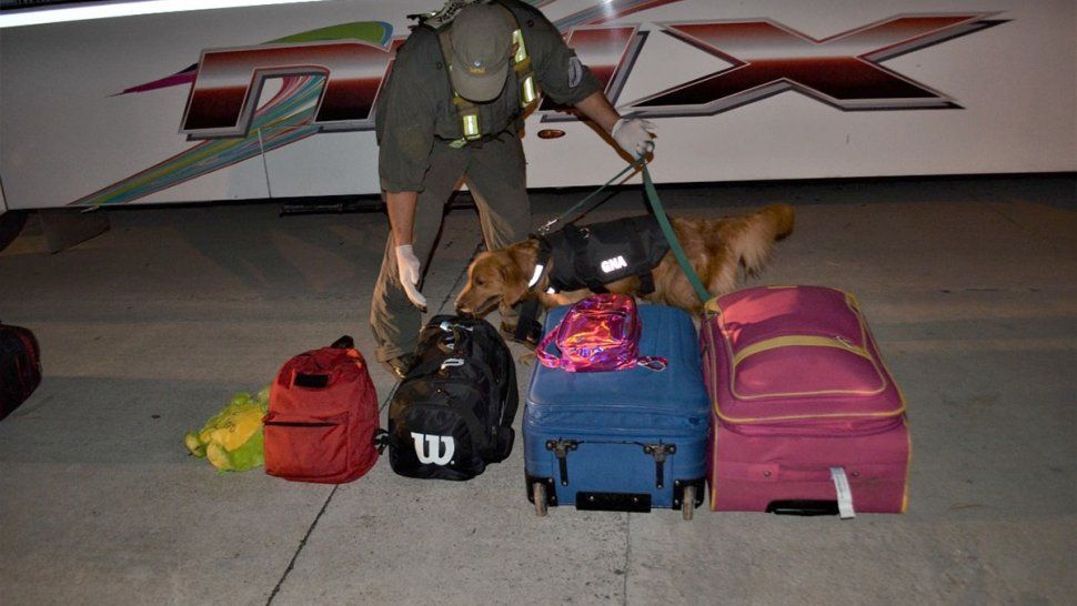 santiago del estero: decomisaron 3 kilos de cocaina provenientes de jujuy