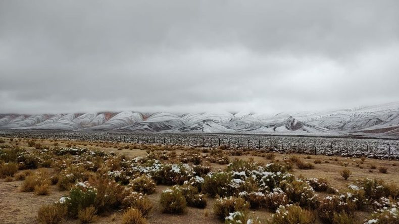 Nieve en pleno diciembre en la Puna jujeña