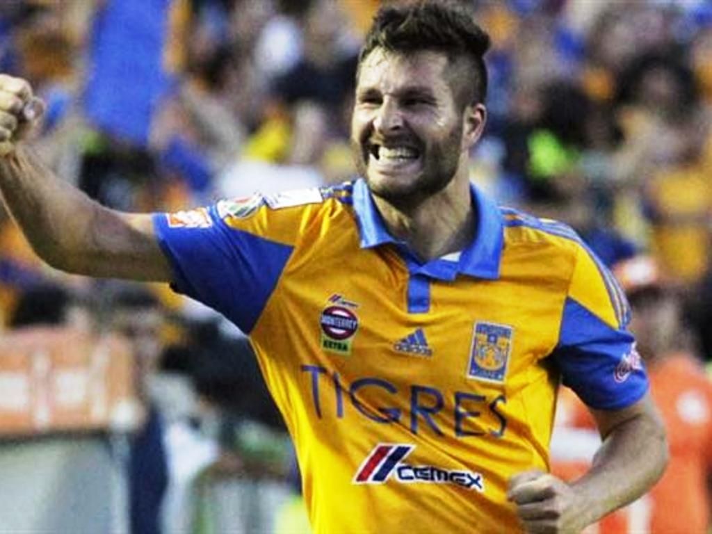 Tigres y River a la final