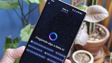 Pidieron a la Agencia de Acceso a la Información Pública (AAIP) hacer una auditoría independiente de los procesos de Meta.
