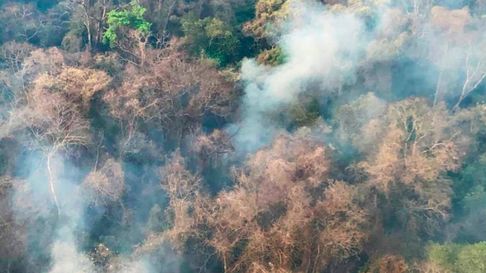 Todo Jujuy | incendios forestales jujuy parque calilegua.jpg