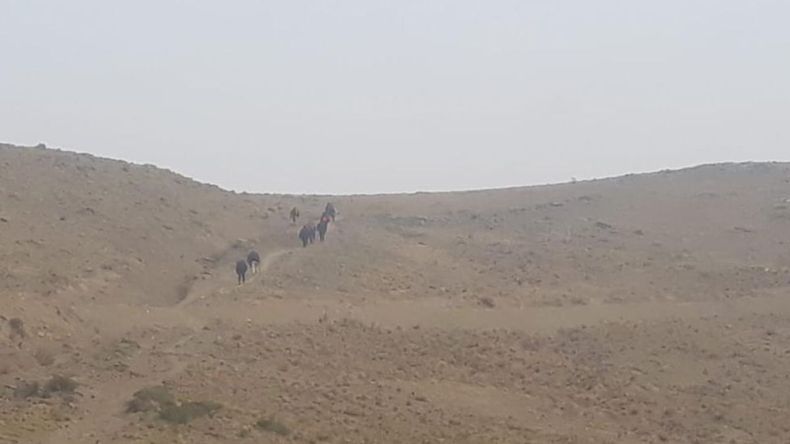 El foco de incendio en Tilcara fue apagado. El apoyo de voluntarios y baquianos fue clave para extinguir el foco ubicado en Yala de Monte Carmelo..jpg