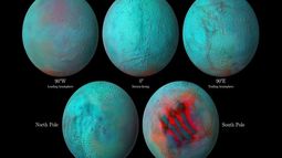 Es un descubrimiento asombroso, dicen los investigadores.