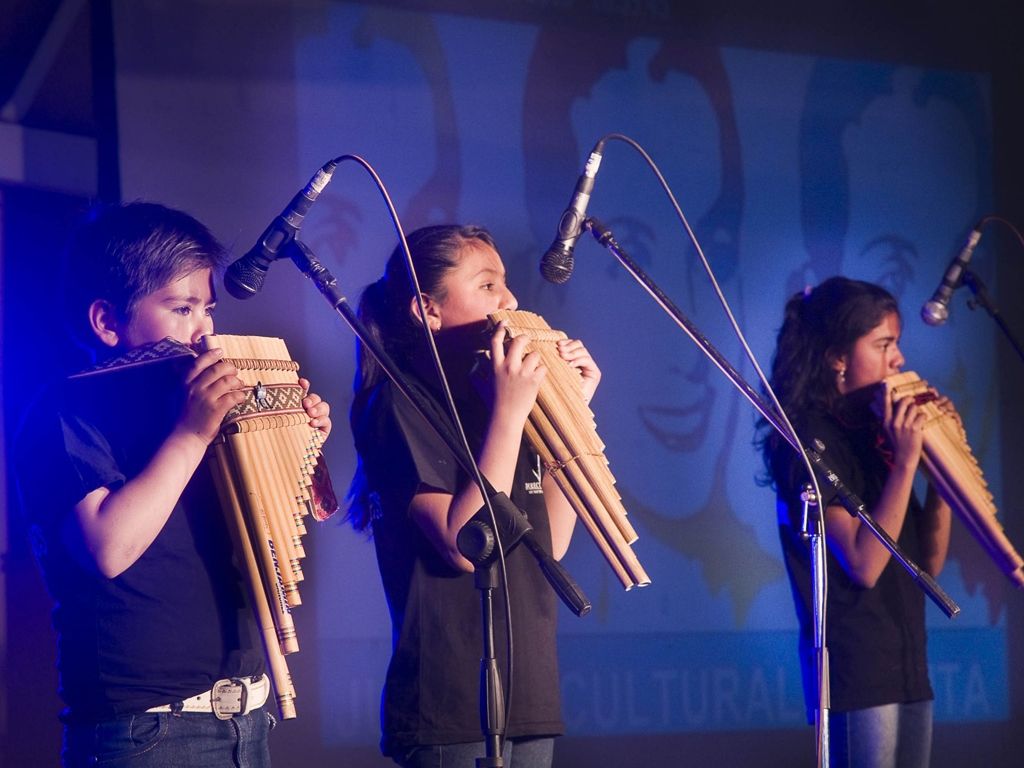 Juegos Culturales Evita 2015