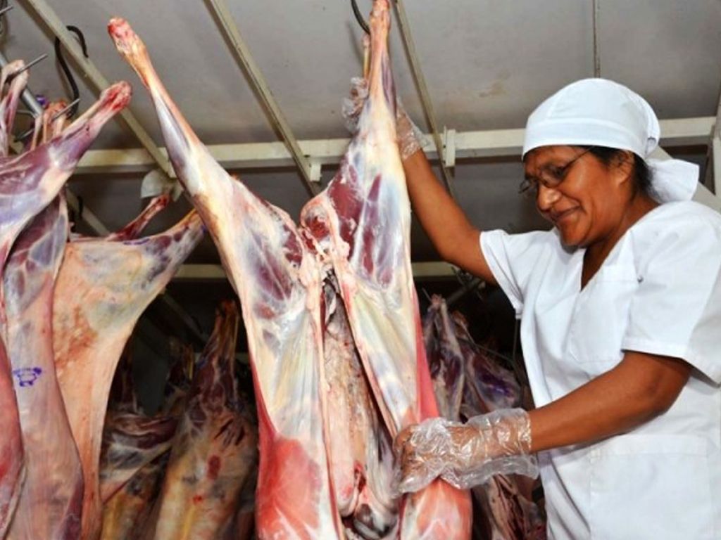 Camión con carne puneña