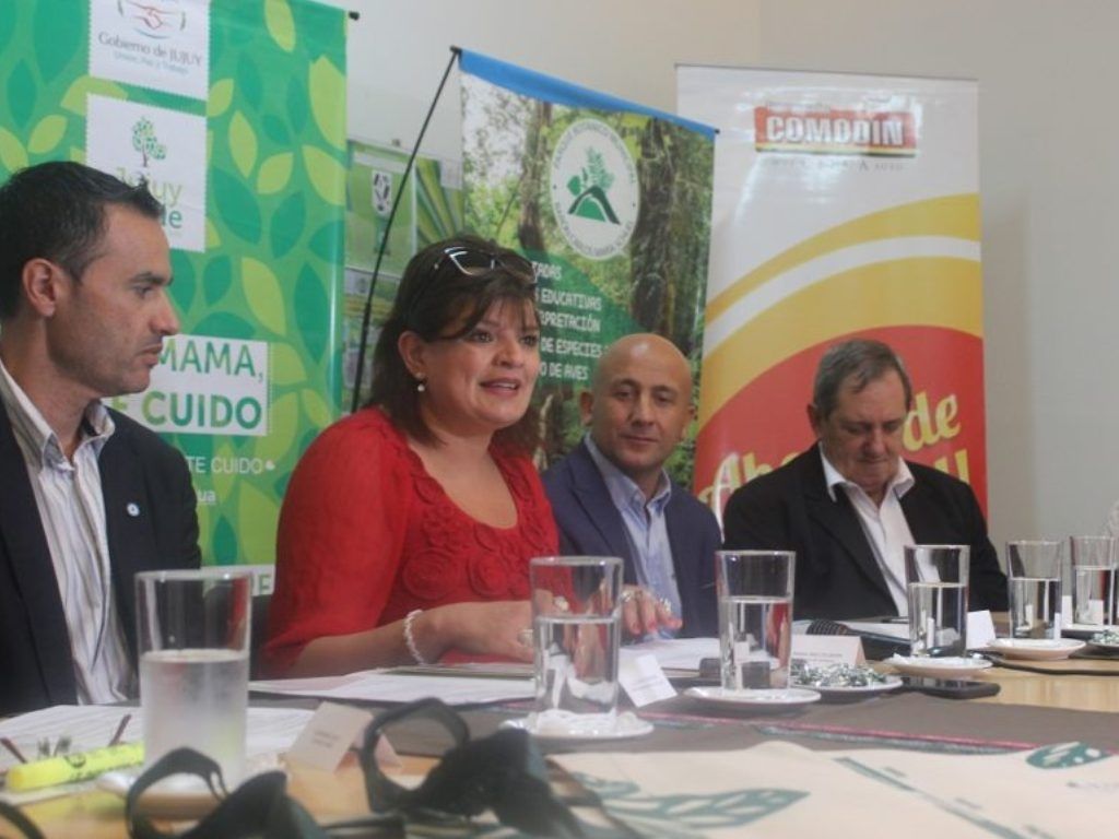 Lanzamiento de la campaña