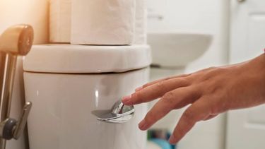 Los especialistas realizaron una evaluación de 38 estudios distintos de 13 países que investigaban el peligro de transmisión de enfermedades infecciosas en los baños públicos.&nbsp;