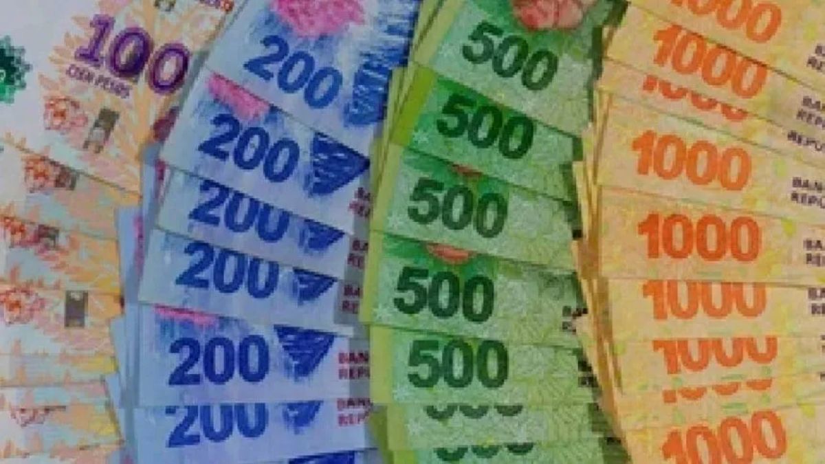 Cuándo Entrarían En Circulación Los Nuevos Billetes De $20.000 Y $50.000