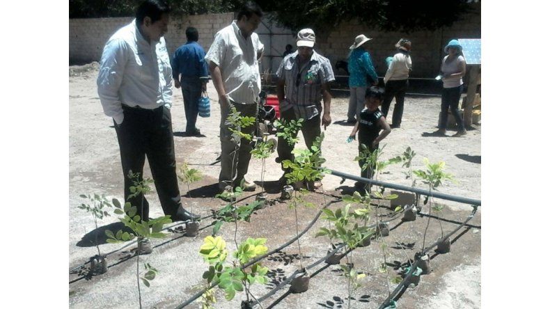 Apoyo a productores