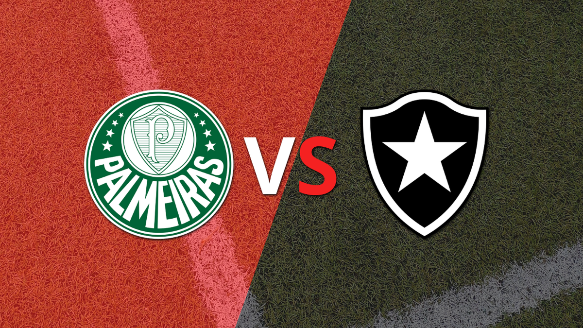 CONMEBOL Copa Libertadores Palmeiras vs Botafogo Llave 6