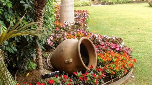 Todo Jujuy | Trucos caseros de jardinería para conservar tus plantas impecables
