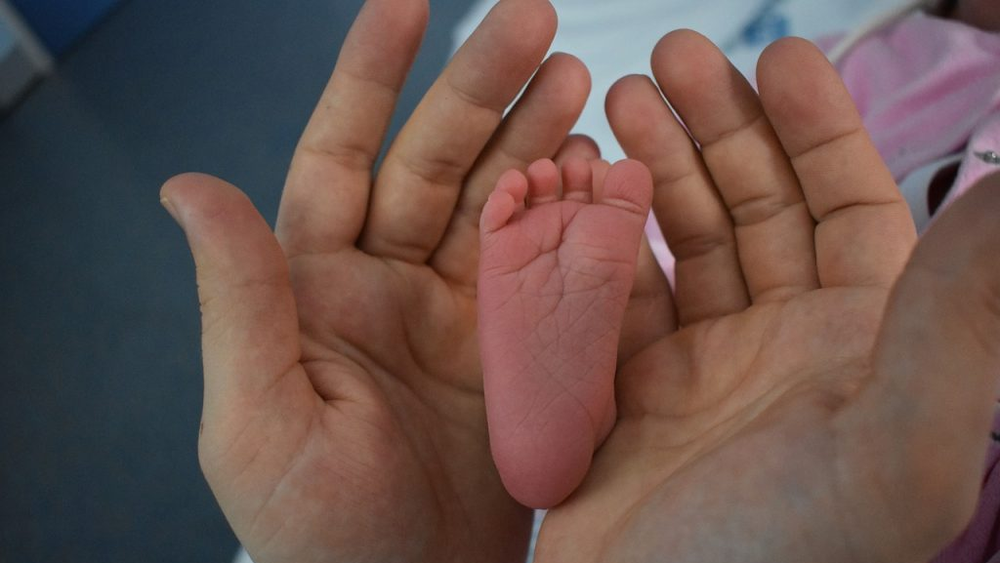 Abrupta caída de la tasa de natalidad en Argentina ¿Qué pasa en Jujuy?