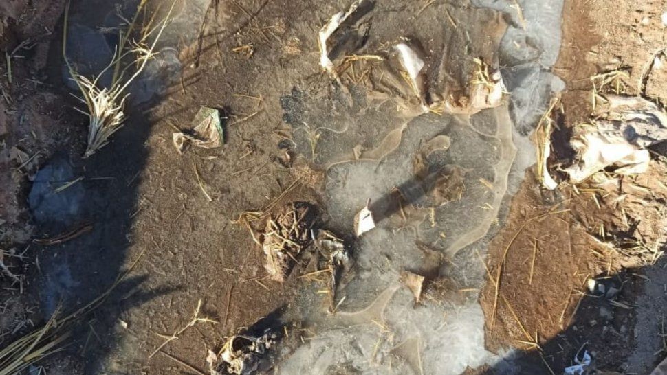 llego una ola de frio con las primeras heladas y temperaturas bajo cero