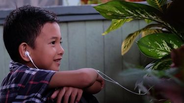 Las plantas también hablan y se comunican