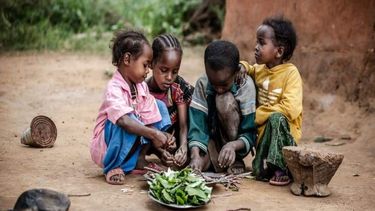 Más de 30 millones de niños sufren desnutrición aguda en el mundo.&nbsp;