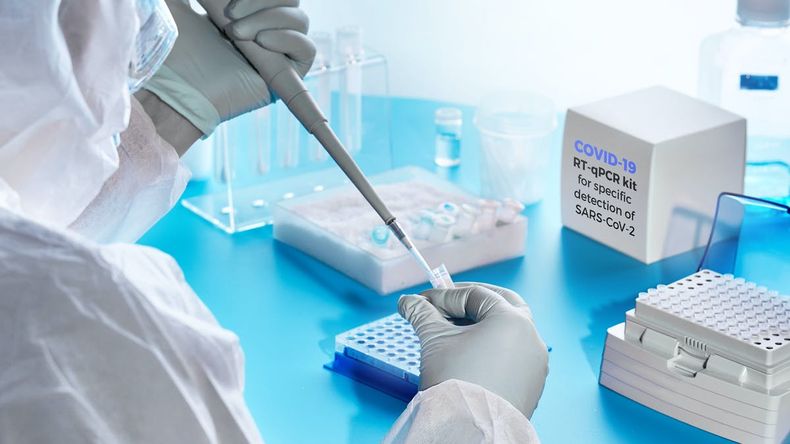 Las variantes de Covid-19 que más afectan al país.
