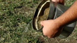 El descacharrado es fundamental para prevenir el dengue. El descacharrado es fundamental para prevenir el dengue.