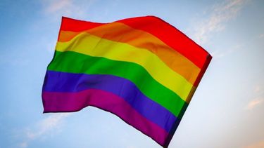 Semana del Orgullo LGTB: ¿qué significan los colores de la bandera?.&nbsp;