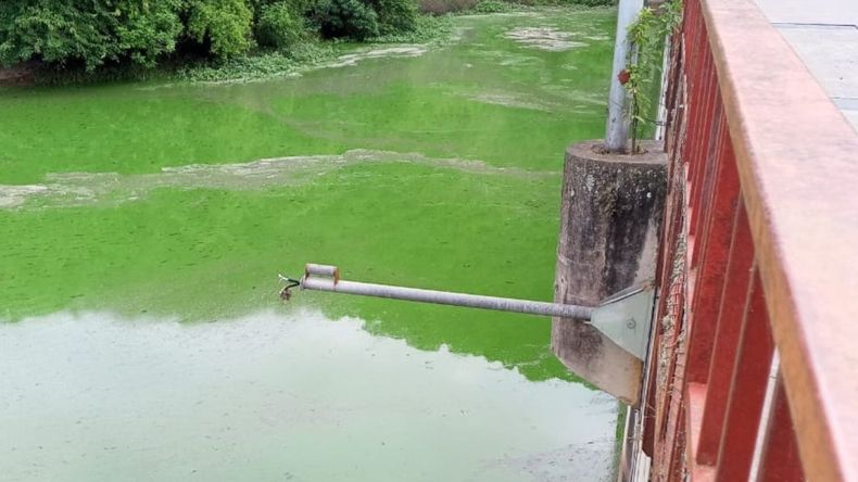 Solicitan evitar la pesca en el dique Los Alisos por la presencia de algas peligrosas