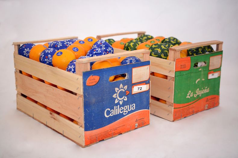 Producción de la empresa Ledesma.