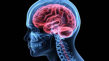 El envejecimiento típico puede implicar cierta pérdida de memoria y olvidos ocasionales.