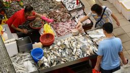 Mercados de pescados y mariscos Huanan.