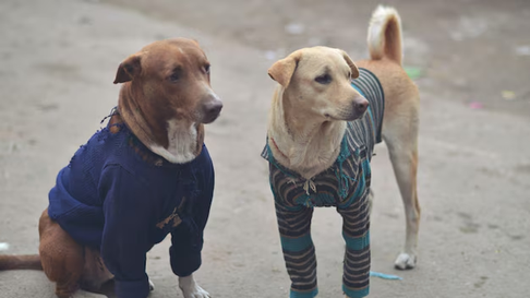 Todo Jujuy | image.png