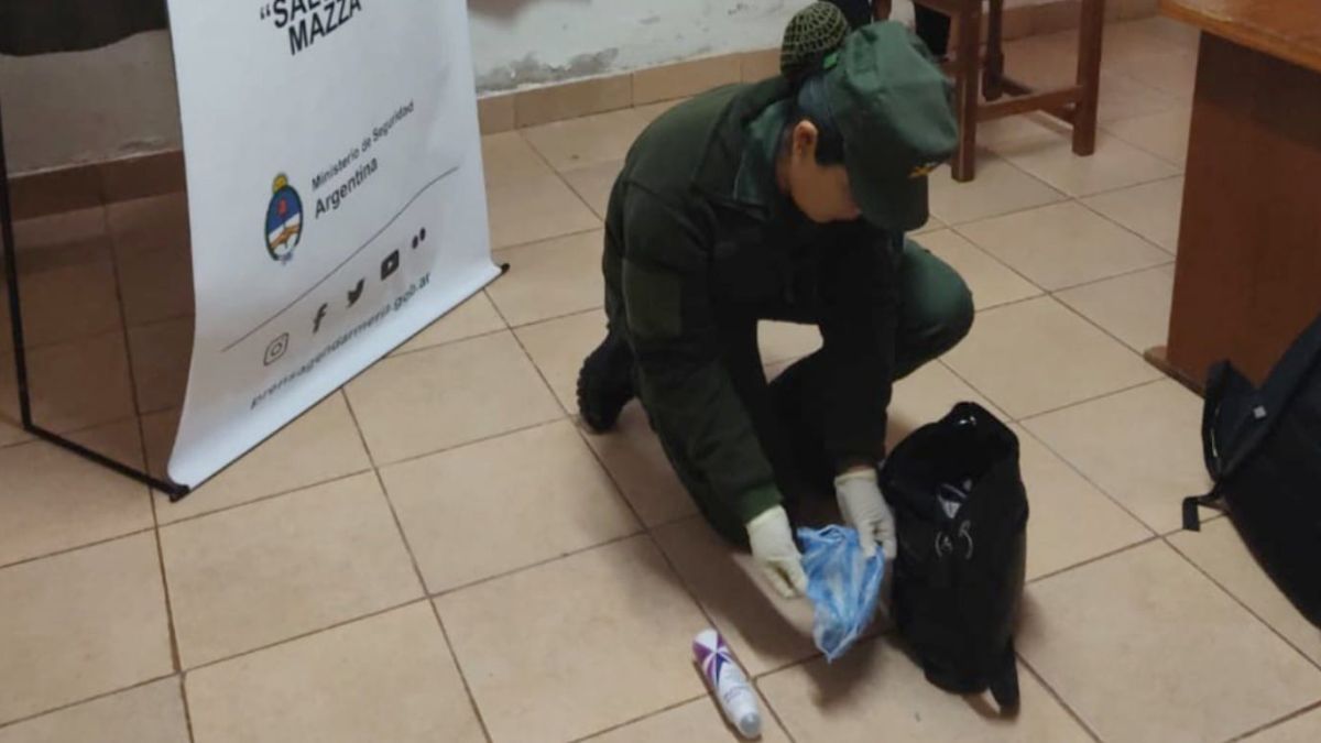 Intentó ingresar al país por Salta con 9 kilos de cocaína