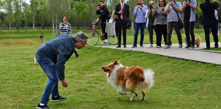 petalos_de_rosas_2C_una_masiva_vuelta_al_perro_y_un_desayuno_contra_la_inflacion_2C_las_perlitas_de_las_elecciones_2019_27102019_clarin_com (1).jpg