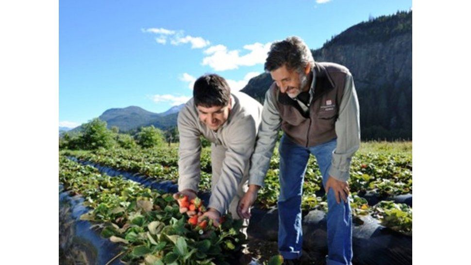 INTAVA - Jornadas en Agrarias