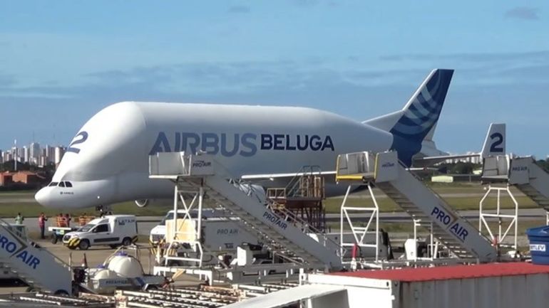 El Beluga es un avión de carga que obtuvo su apodo por su particular similitud con los animales llamados con ese nombre. 
