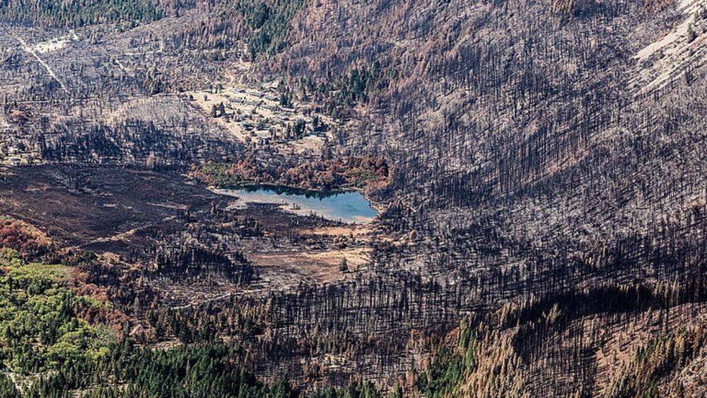 Foto: Greenpeace Foto: Greenpeace