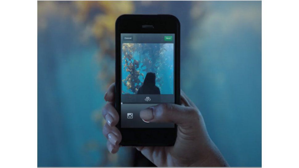Para las fotos de los productos  Apple