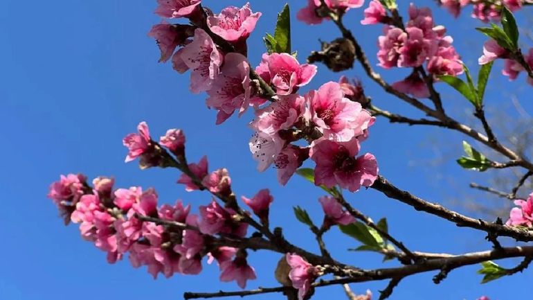 Primavera en Jujuy: ¿Cómo se viene esta nueva temporada? Primavera en Jujuy: ¿Cómo se viene esta nueva temporada?