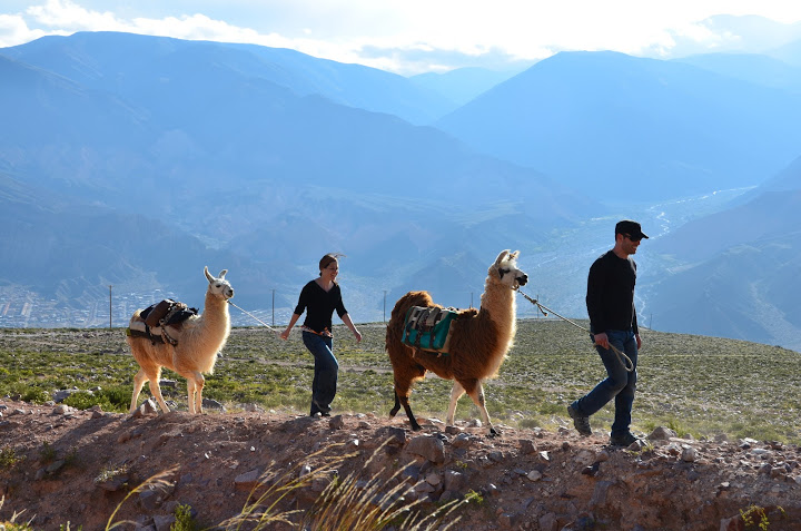 la verdad sobre las fotos con llamas en la quebrada de humahuaca: cuanto cuestan