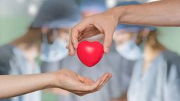 En Argentina, para ser donante de médula ósea hay que donar sangre e inscribirse en el Registro Nacional de Donantes Voluntarios de CPH.