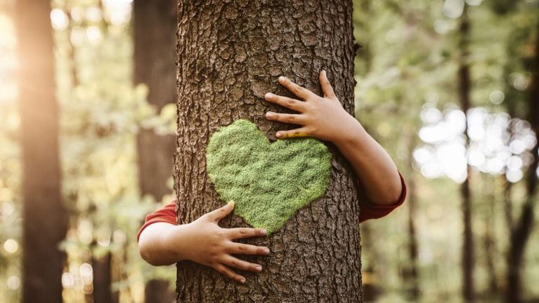 Efemérides: hoy es el Día Mundial del Árbol