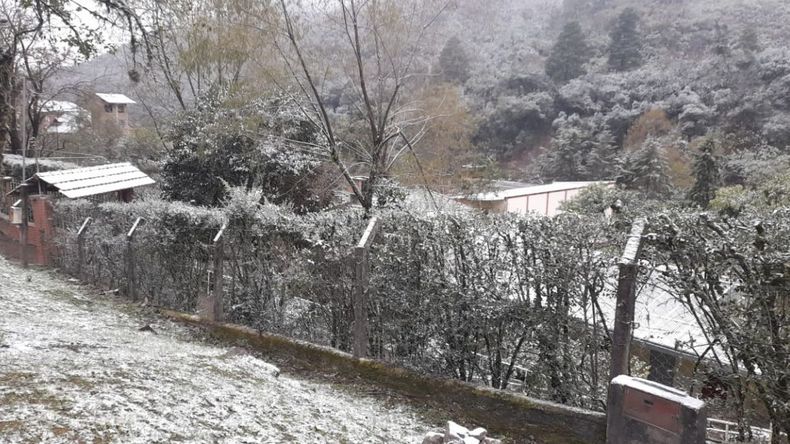 Las mejores fotos de la primera nevada en Jujuy: Los Nogales y Yala