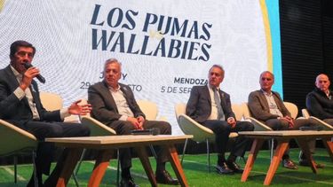 Jujuy se prepara para recibir a Los Pumas en un histórico duelo ante Australia Jujuy se prepara para recibir a Los Pumas en un histórico duelo ante Australia
