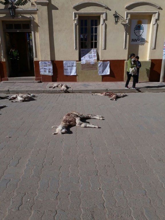 protesta en Abra Pampa