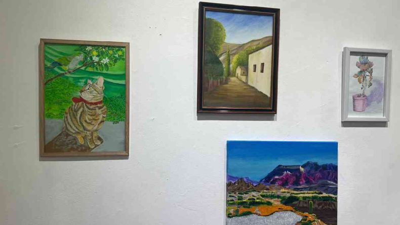 Cobalto presentó una muestra abierta al público