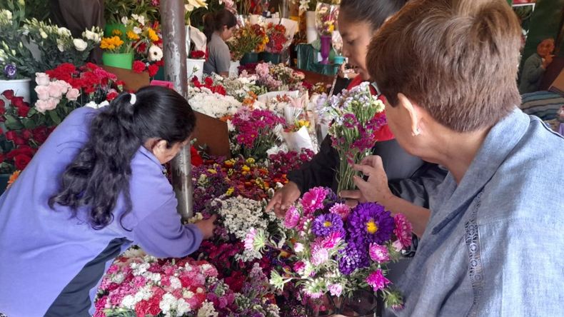 Paseo de las Flores