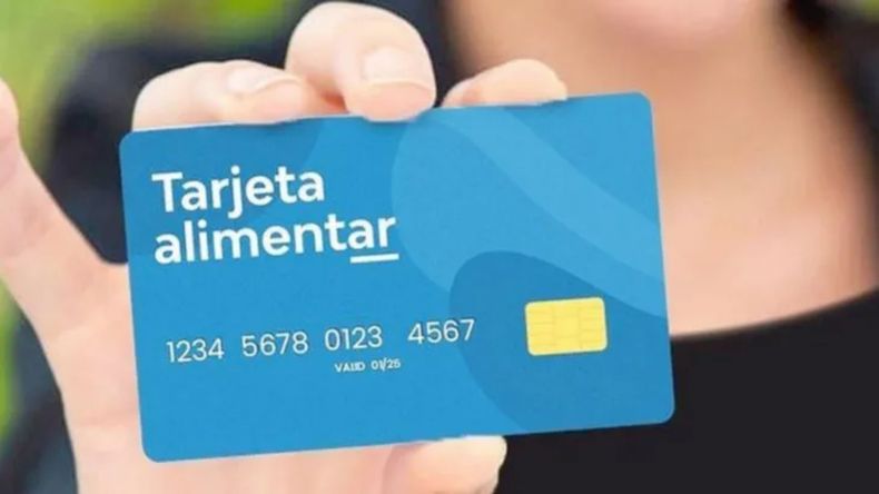 Establecieron&nbsp;tres categorías de montos a liquidar&nbsp;para las beneficiarias de la Prestación Alimentar.