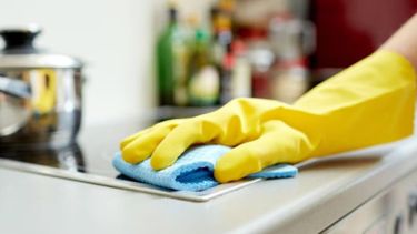 Empleadas domésticas: aumento de sueldo y bono. Empleadas domésticas: aumento de sueldo y bono.