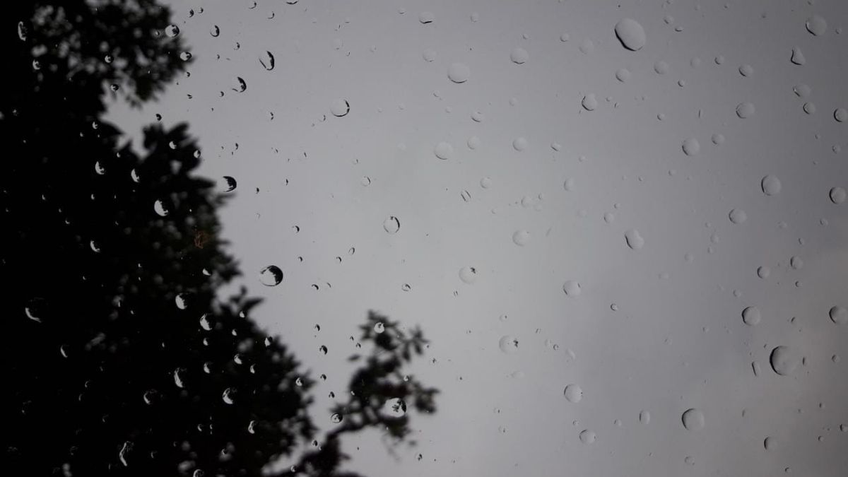 Clima en Jujuy: el pronóstico del tiempo para el 3 de diciembre